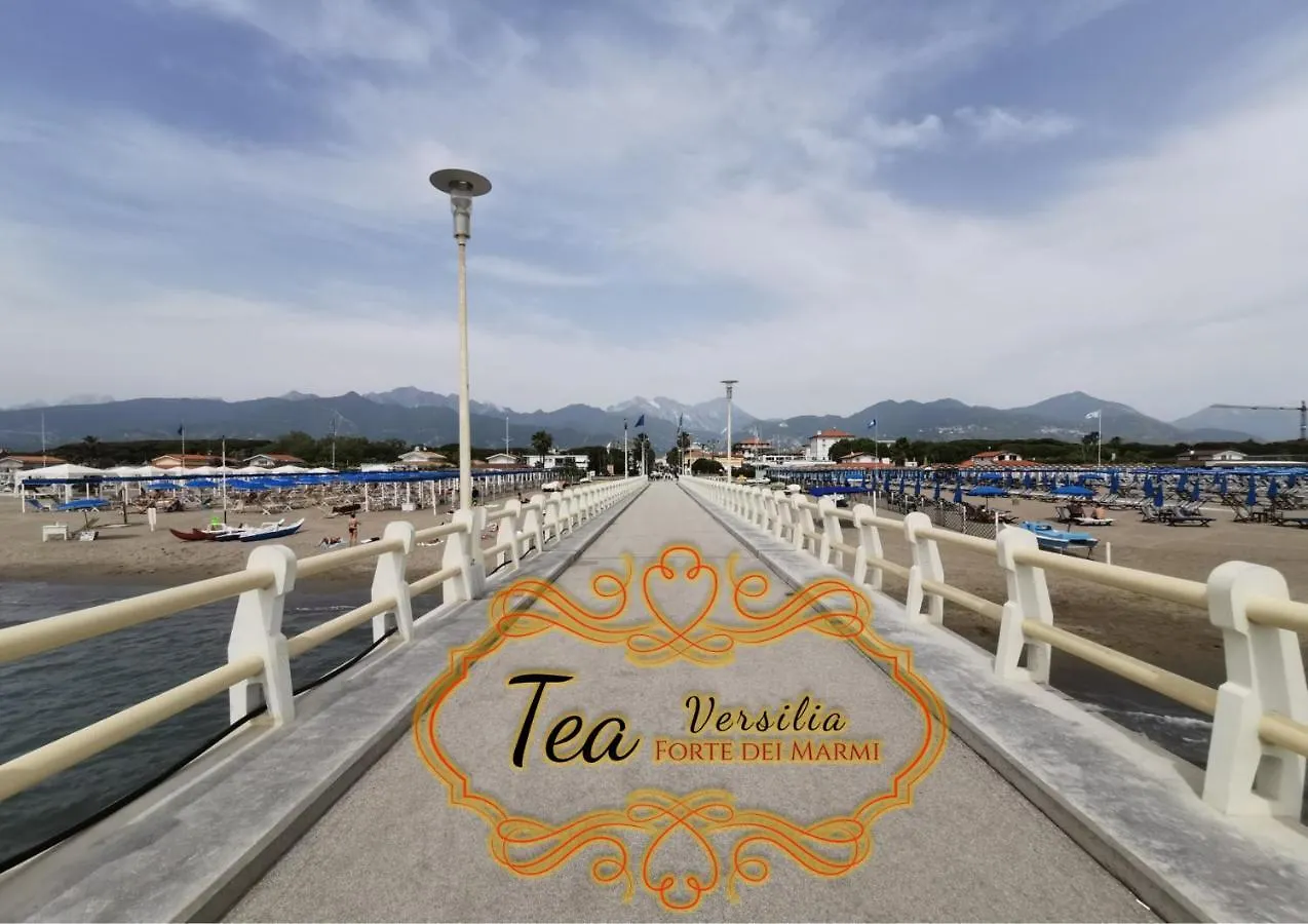 Tea Versilia - Forte Dei Marmi Italy